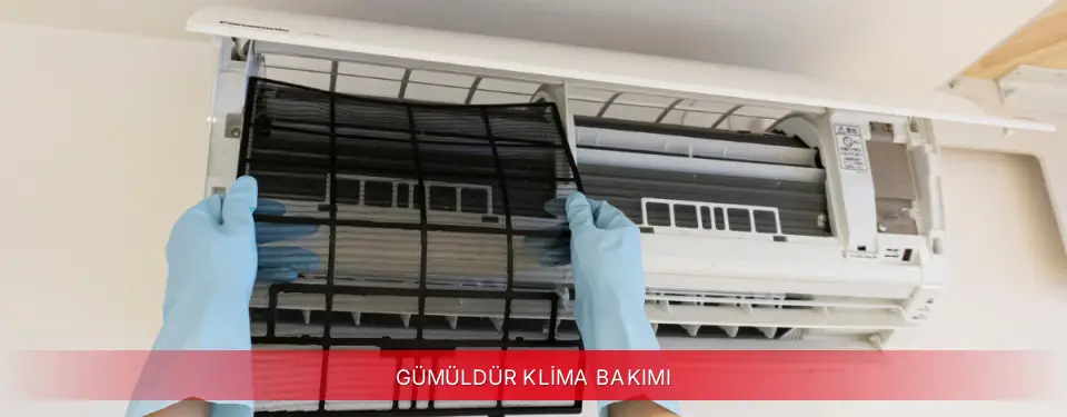 Gümüldür İlçemi Mitsubishi Electric Klima Bakımı